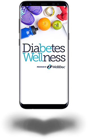 Diabetes Wellness Program