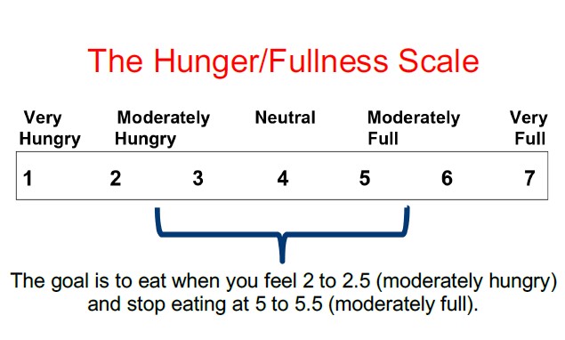 Hunger and Fullness Scale for Type 2 Diabetes