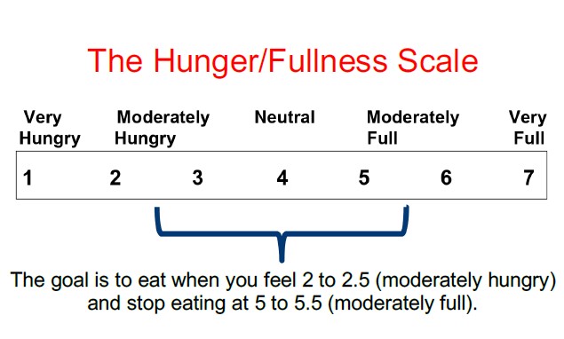 Hunger and fullness scale for type 2 diabetes