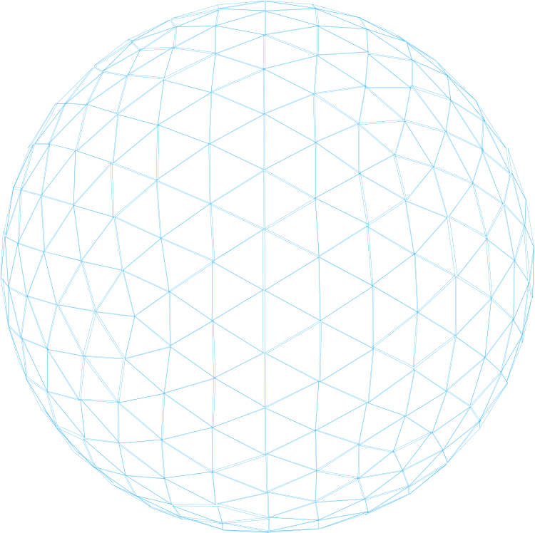 Chronic Care Management Platform globe